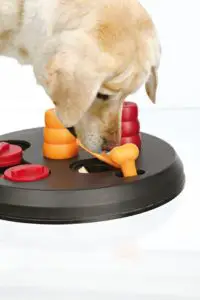 Le jouet de réflexion pour chiens Trixie Activity Flip Board