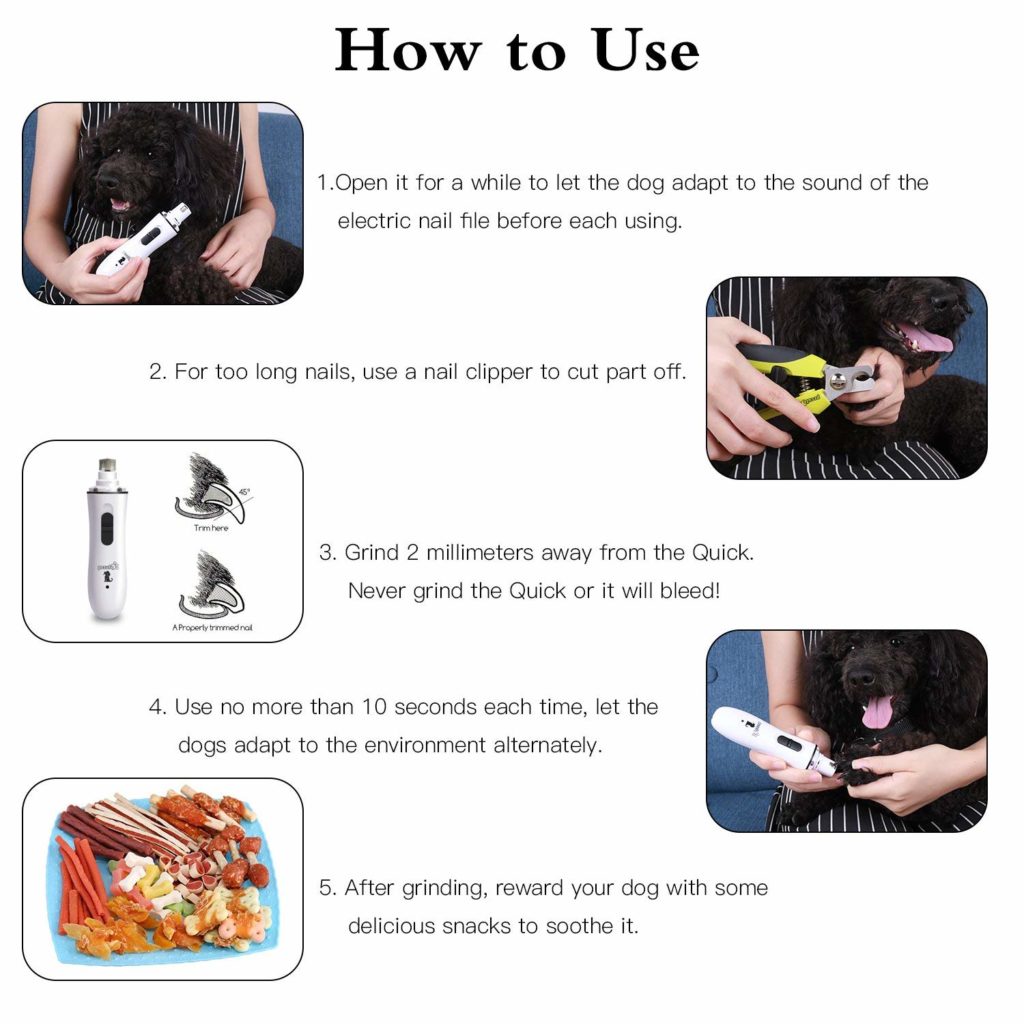 solution de la lime électrique pour couper les griffes d'un chien