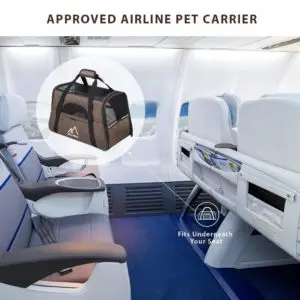 Comment voyager en avion avec un chien - SAC DE TRANSPORT indispensable